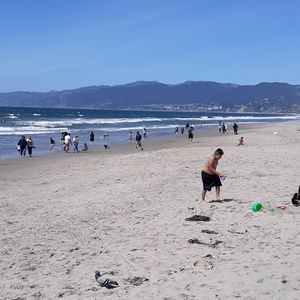 Meet your Posher, Marsha